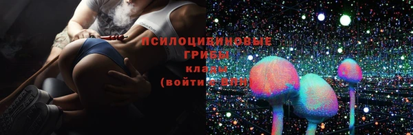 прущие крисы Алексеевка