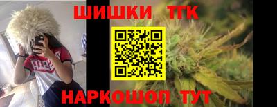 индика Заволжье