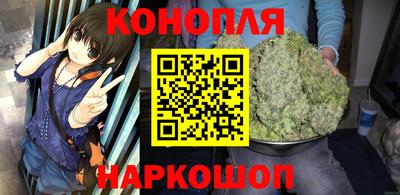 индика Заволжье